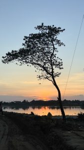 Chasing sunsets and finding peace, surrounded by nature’s beautiful colors.
