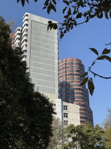 Modern buildings rise above lush greenery in Mexico City under a clear blue sky.