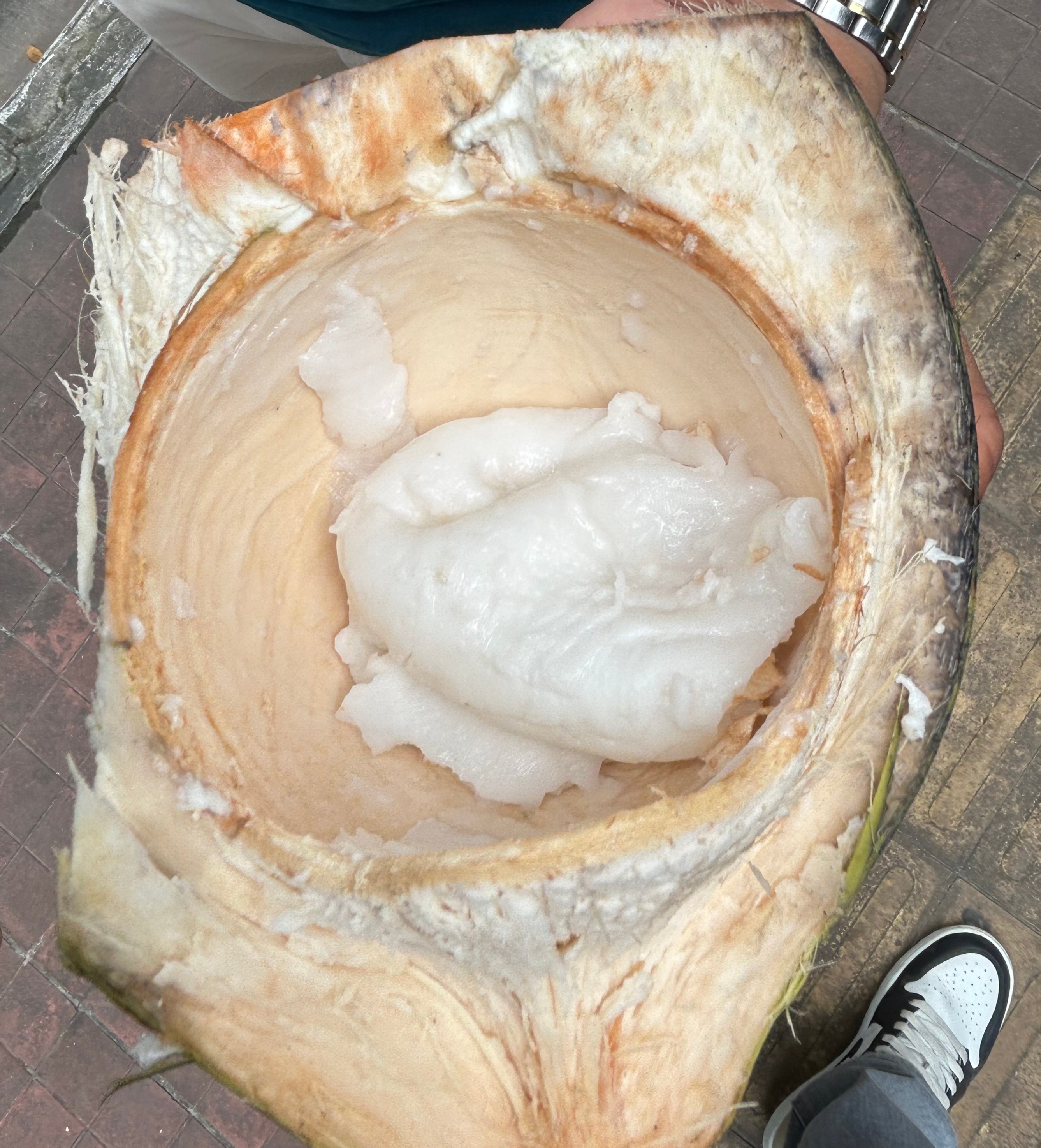 A person is holding a large coconut that has been cut open. The interior shows soft, white coconut flesh, which is slightly creamy and looks fresh.