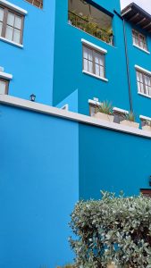 Bright blue building facade with rectangular windows, balconies, and green plants.
