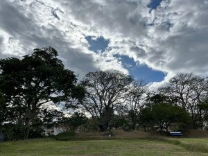 A grassy field with large trees beneath a dramatic sky filled with white and gray clouds and patches of blue.
