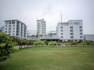 A wide, neatly maintained green lawn with small ornamental trees in front of modern multi-story white buildings, with leafy shrubs along the left side.
