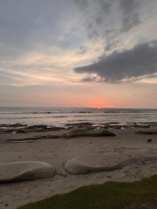 A picturesque sunset over the ocean, featuring a sandy beach and rugged rocks, creating a serene coastal scene.
