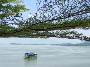 A lake with a blue boat going through it, mountains and a tree branch with green leaves