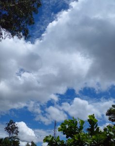 A bright blue sky filled with large white clouds, with green trees and a communication tower visible below.
