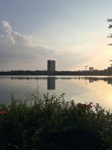
Jakkur Lake in Bengaluru reflecting a tall residential building under a soft evening sky.