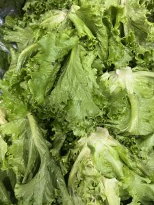 Fresh green lettuce leaves with crinkled edges and a slightly glossy surface.