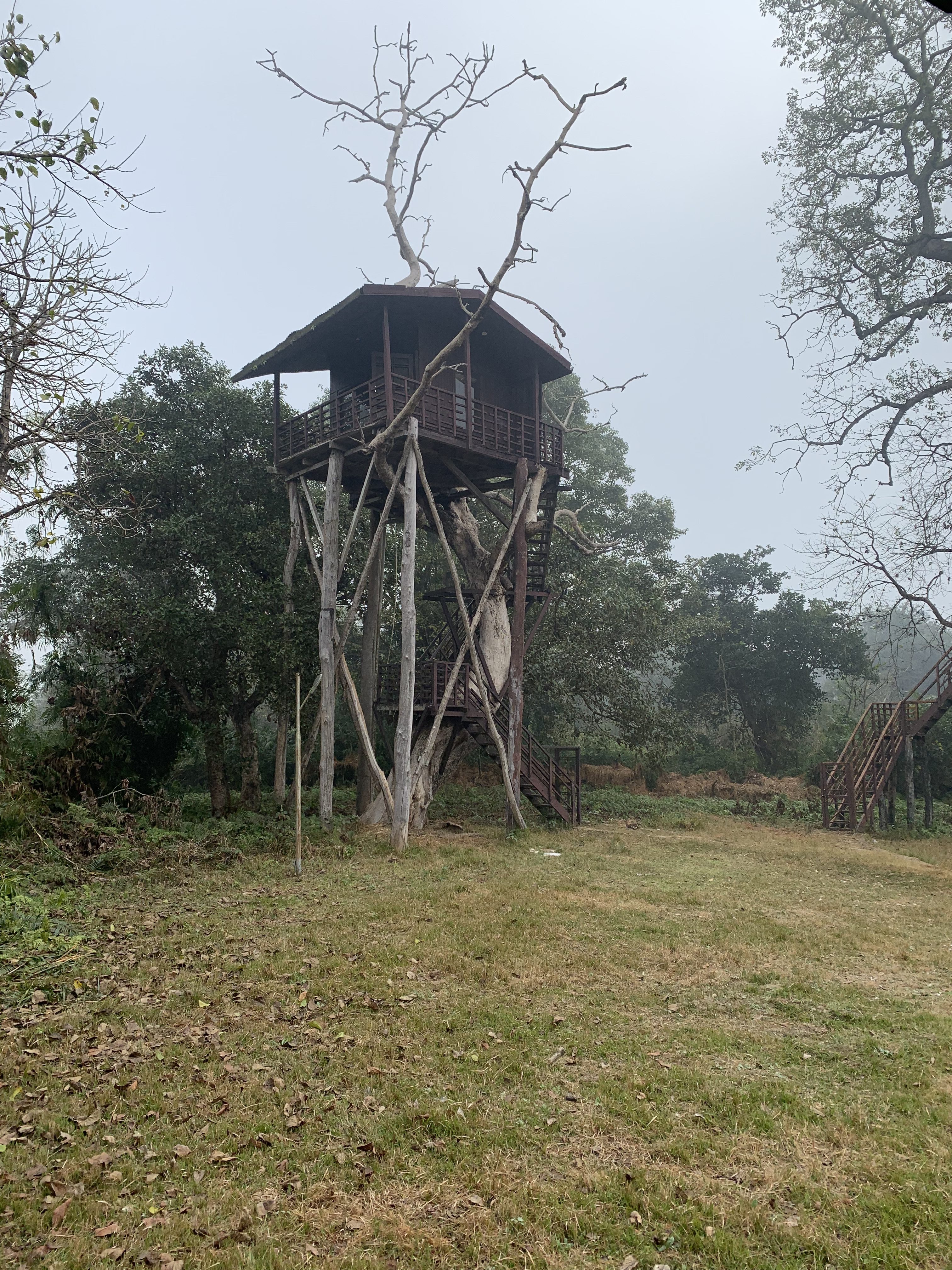 Elevated wooden treehouse with a balcony and supporting timber posts in a grassy clearing surrounded by trees.