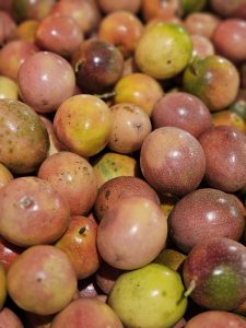 A close-up of passion fruits in varied shades of pink, yellow, and green. Their speckled skins and tightly packed arrangement highlight the variety of colours and textures. Taken at Palazhi, Kozhikode, Kerala.
