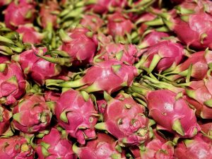 A close-up of pink dragon fruits with green-tipped scales, packed closely together. The vivid colors, repeating shapes, and contrasting textures make this an eye-catching photograph. Taken at Palazhi, Kozhikode, Kerala.
