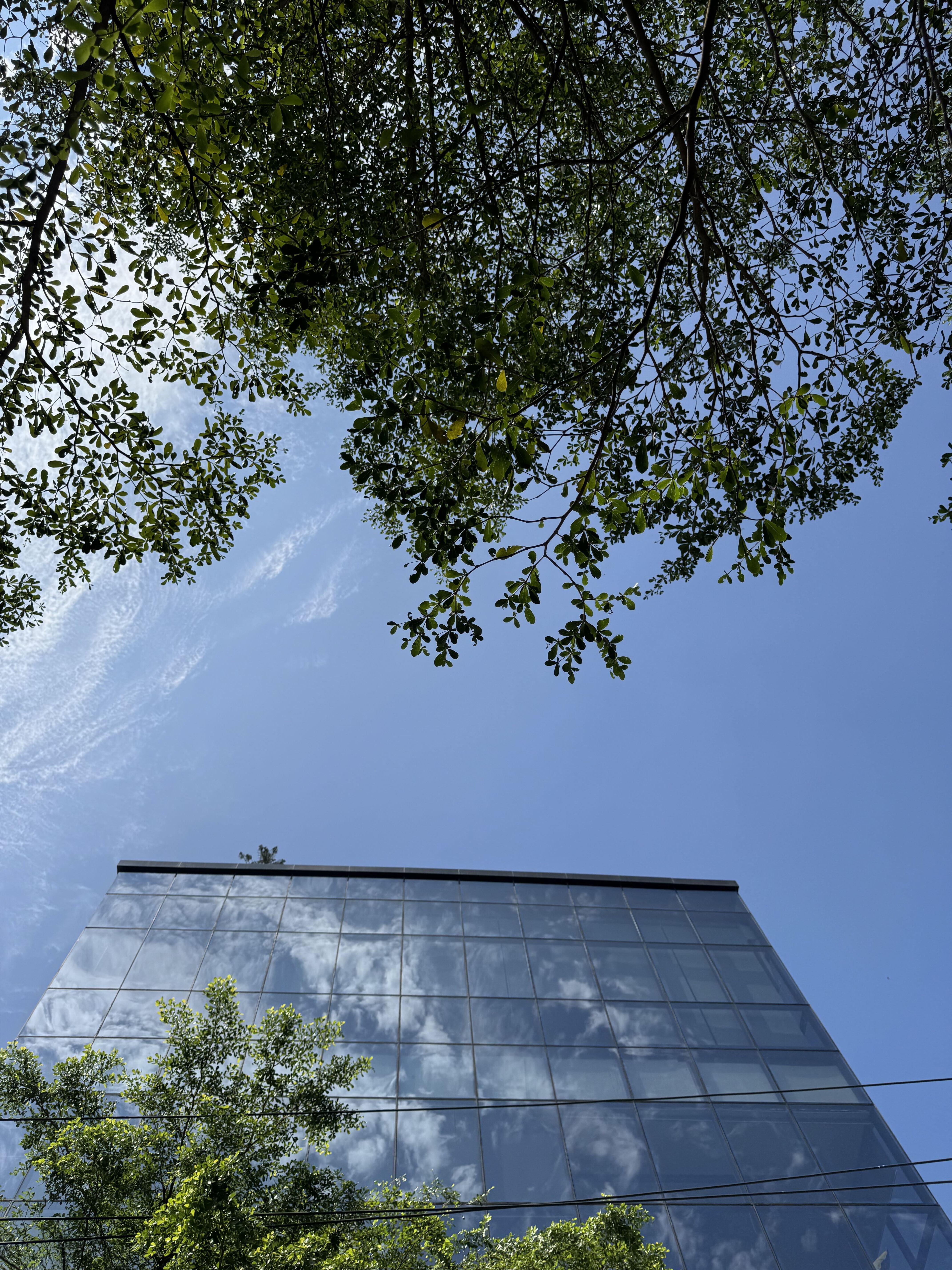A tall building featuring a prominent clock on its facade, set against a clear blue sky.