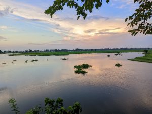 A peaceful rural wetland with scattered patches of floating green plants reflecting a pastel-colored sky, framed by leafy branches and distant green fields.