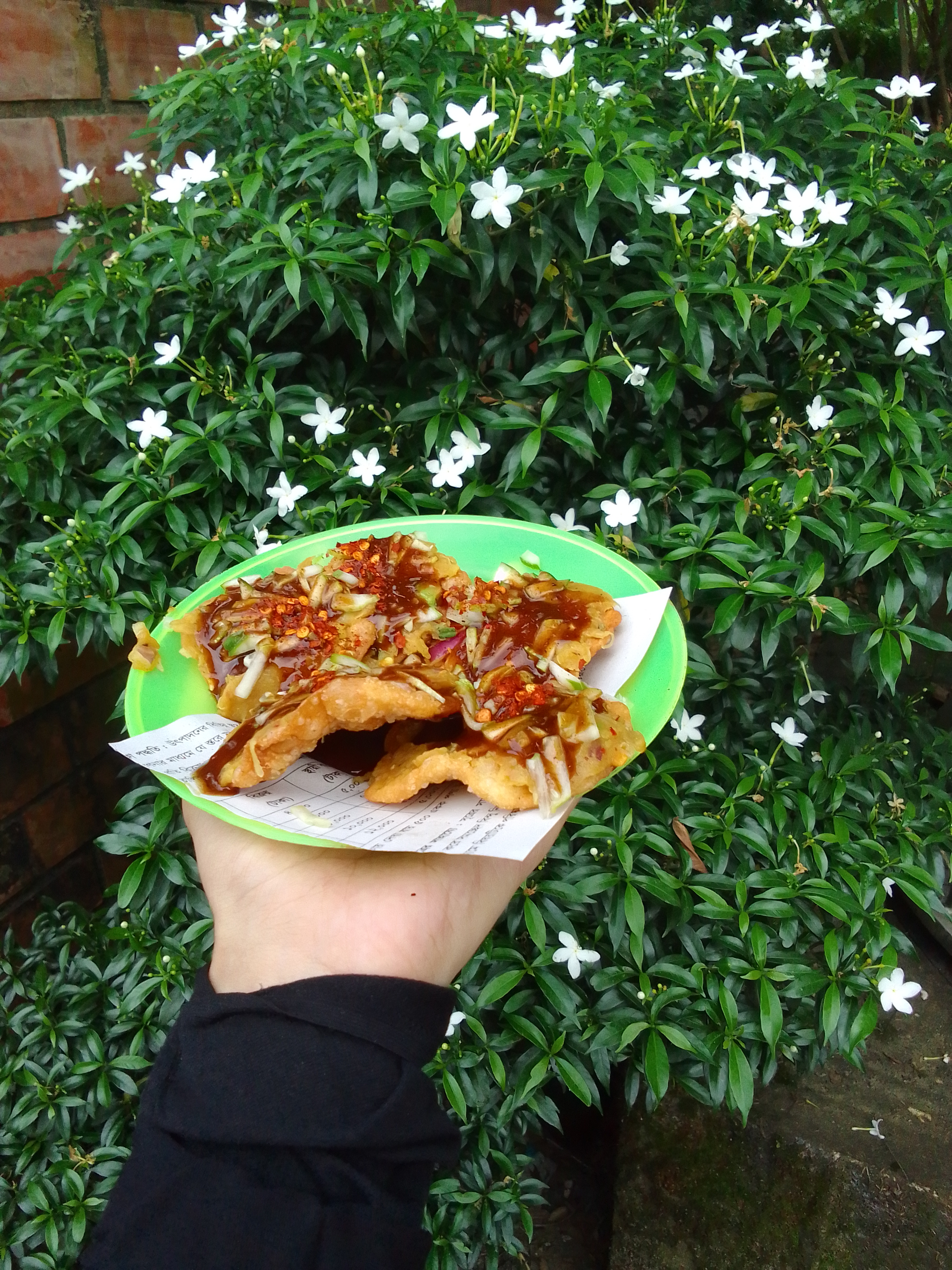 Hand holding a green plate of crispy fried snacks topped with spicy sauce and onions.