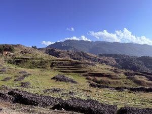 Terraced agricultural fields and hillsides scattered with dry crops and stone piles, set against mountain ridges beneath a bright blue sky.