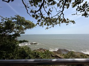 A scenic coastal view of the calm sea and rocky shoreline, framed by lush green trees and overhanging branches beneath a clear blue sky.