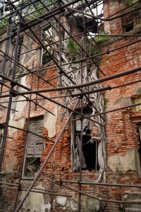 Decaying brick walls of Clive House with exposed red bricks, tree roots, metal scaffolding, broken windows, and green vegetation.
