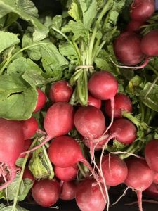 The image features a cluster of red radishes, their round, smooth surfaces shining subtly. The radishes vary in size, with the smallest being about the size of a marble and the largest resembling a small egg.
