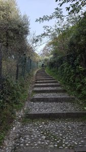 A steep stone and cobblestone staircase flanked by green foliage, trees, and a wire mesh fence, similar to scenic walking paths found in hillside towns