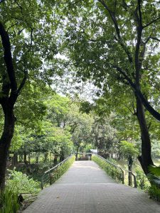 A tree-lined pathway surrounded by lush green foliage, shrubs, and flowering plants.
