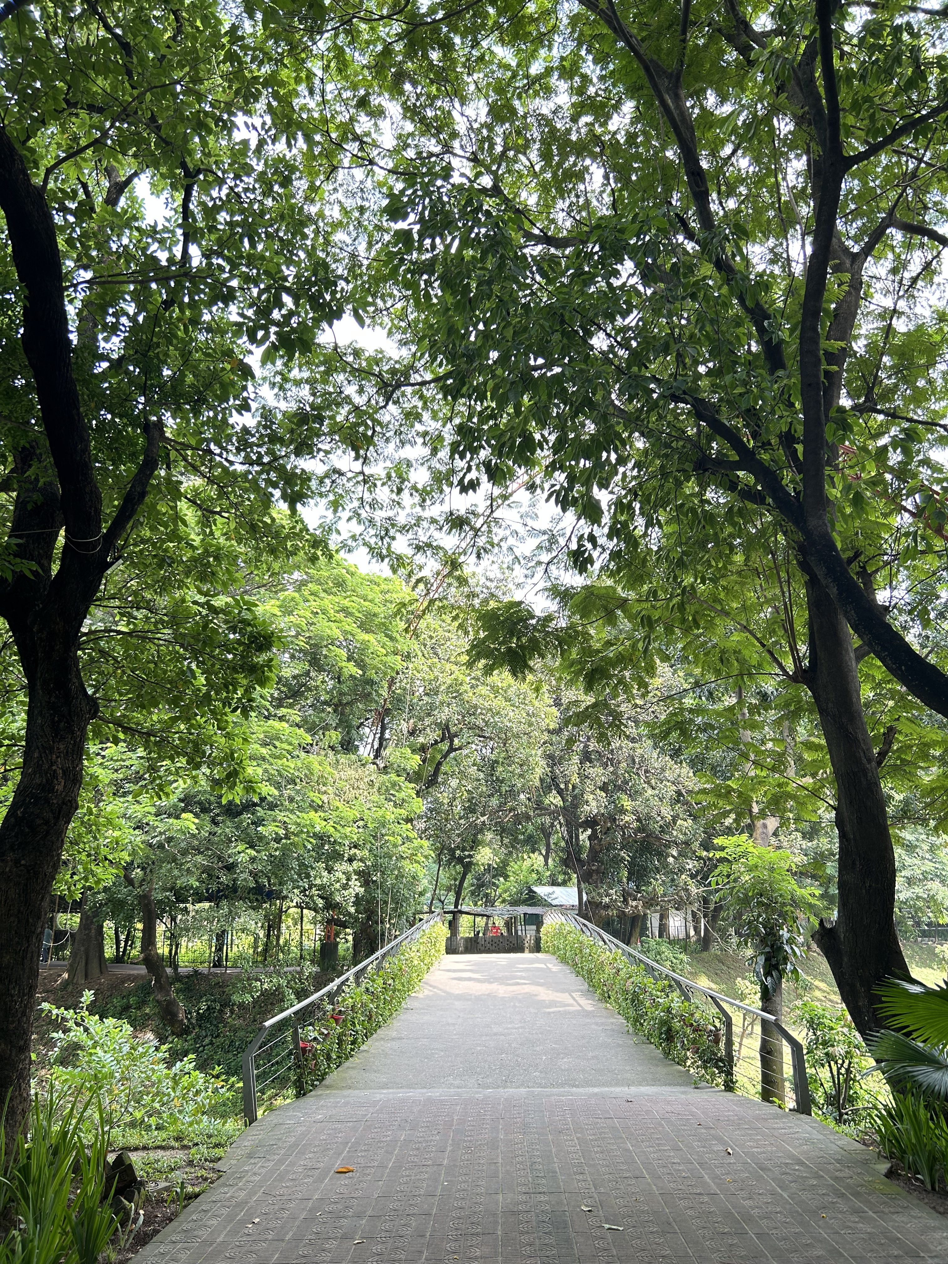 A tree-lined pathway surrounded by lush green foliage, shrubs, and flowering plants.