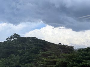 Daytime landscape shot of a lush green forest-covered hill beneath a dramatic sky, featuring a bright white cumulus cloud bank contrasted against dark