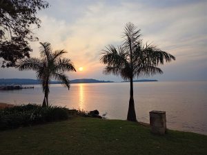 
Two palm trees and a white egret on the grassy shore of Lake Victoria at sunset, reflected in the calm water.