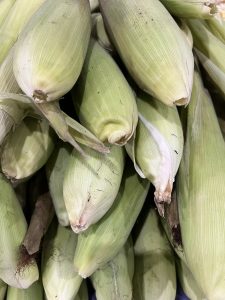A pile of fresh corn ears with green husks, some showing yellow silk and traces of soil.