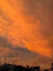 Bright orange sunset clouds above dark silhouettes of trees and rooftops