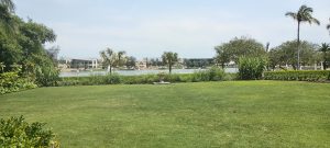 Wide green lawn bordered by tropical plants, with a lake and palm trees in the background
