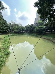A calm lake surrounded by lush green trees, with a tall building in the background.
