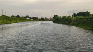 A calm wide river flowing gently between green grassy riverbanks under a soft evening sky.