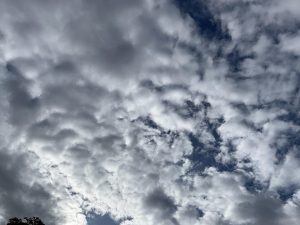 Dramatic gray and white clouds fill the sky, with patches of blue visible and treetops along the bottom.
