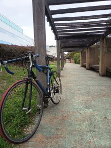 
A blue bicycle parked on a green-tiled pathway beneath a wooden trellis, with benches and a building in the background.