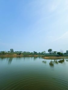 A tranquil lake bordered by vibrant trees and grassy areas.

