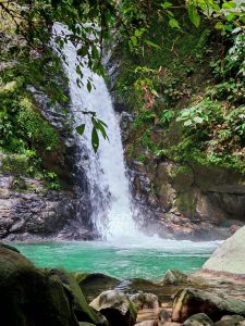 The side of the waterfall, tiny and big rocks with tree and plants covering the sides of the waterfall