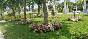 Sunny garden with green grass, trees, pink and white plants, and white columns in the background