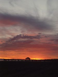 Orange sunset behind a long pier extending across a dark coastal horizon.