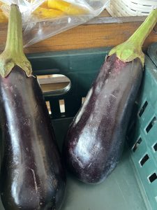 Two large, glossy, dark purple eggplants are placed closely together in a green crate. Their smooth skin reflects light, showcasing slight imperfections and variations in color.