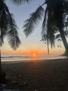 Sunset beach with palm trees, orange and pink skies, ocean waves, and sandals on the sand.