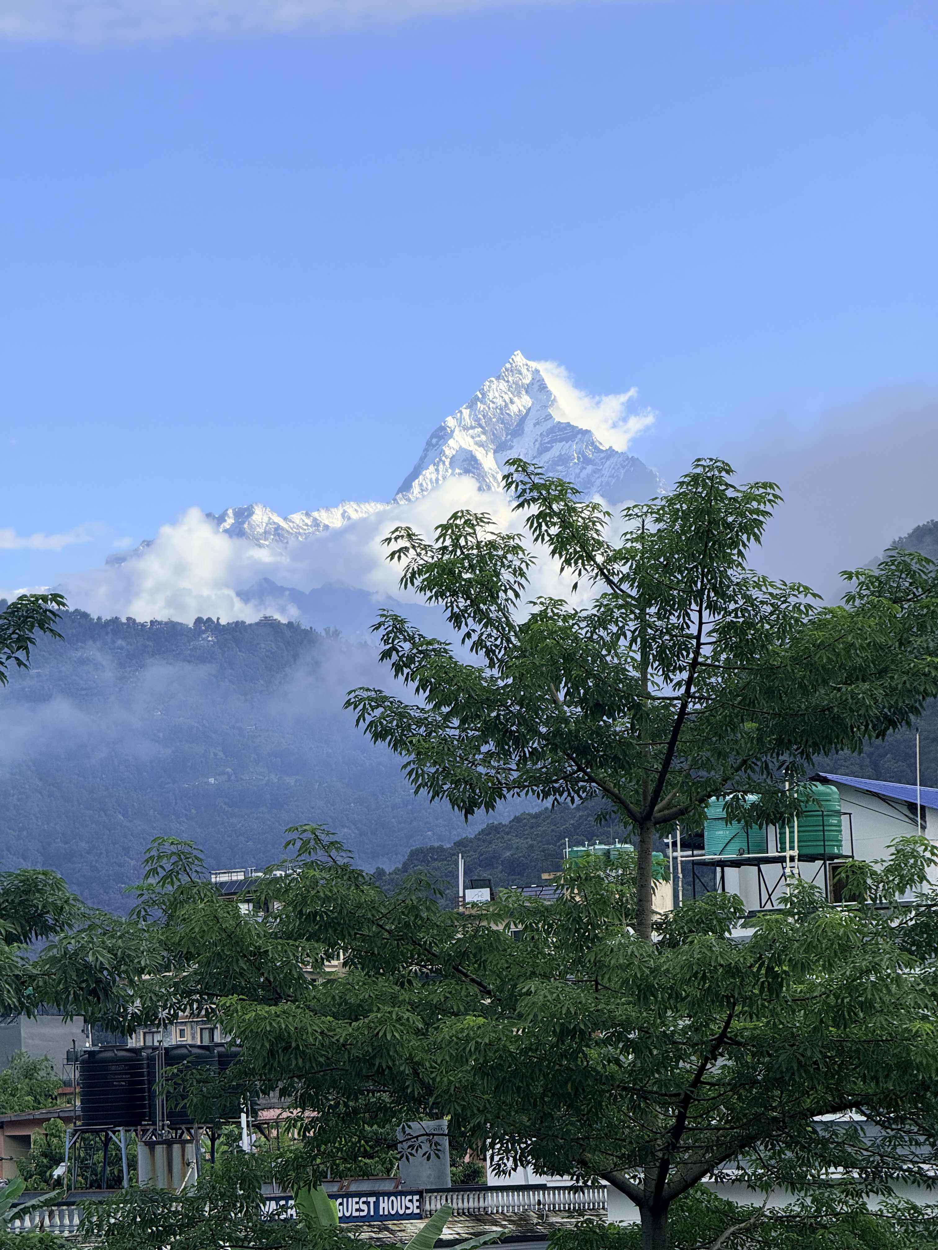 Snow-covered Machapuchare (Fishtail) above clouds, with green hills and rooftops in Pokhara, Nepal.