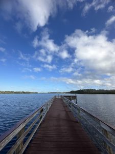A wooden boardwalk extends into a calm, blue body of water, leading the viewer's eye towards the horizon. The boardwalk is flanked by low wooden railings, and the surface appears well-maintained with a reddish hue. Above, a bright blue sky showcases fluffy white clouds scattered throughout, creating a serene atmosphere.