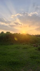 A scenic sunset view over a green grassy field with sun rays shining through evening clouds above the tree line.
