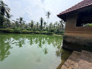 A peaceful temple pond reflecting coconut trees, with stone steps and a traditional Kerala-style tiled-roof structure under a cloudy sky.