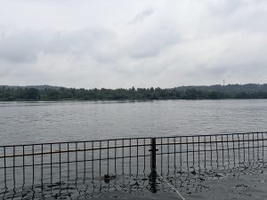 
A wide river in Kerala with a metal railing in the foreground, trees along the opposite shore, and a cloudy sky.