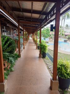 A lengthy covered open-air wooden walkway bordered by potted green foliage.