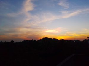 Golden and orange sunset light spreading across the horizon beneath wispy clouds, with dark silhouettes of trees in the foreground.