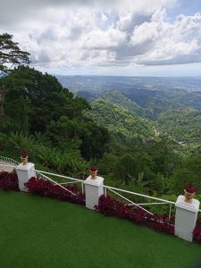 A white railing and beds of dark-red coleus flower plants overlooking a scenic view of Cebu highlands from an artificial grass terrace.
