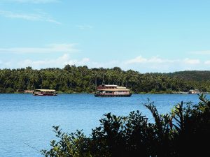 A serene water scene featuring two boats gently floating on a calm, blue lake. In the background, lush green palm trees create a vibrant backdrop.