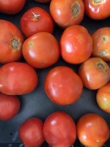 A close-up view of a collection of red tomatoes arranged closely together on a dark surface. The tomatoes vary slightly in size, with some being round and plump while others are more oval.