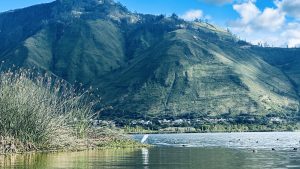 A tranquil view of a lake with reeds in the foreground and green mountains under a bright sky.
